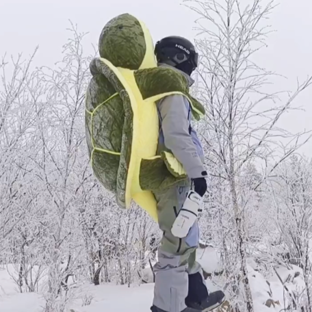 Snow Buddy Turtle Protector