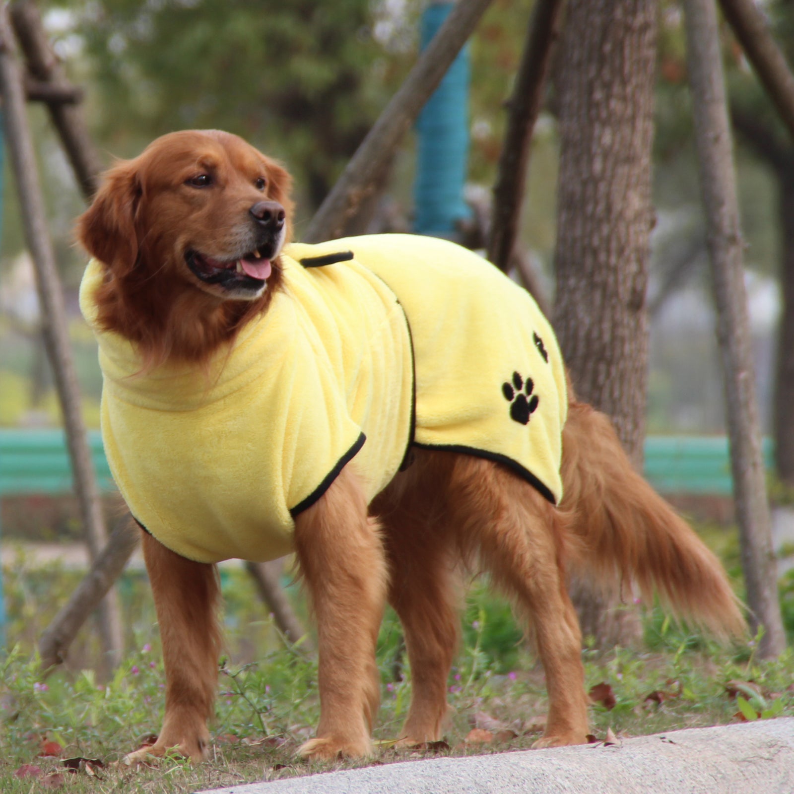 Ultra-Absorbent Dog Robe