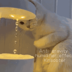 Anti-Gravity Humidifier