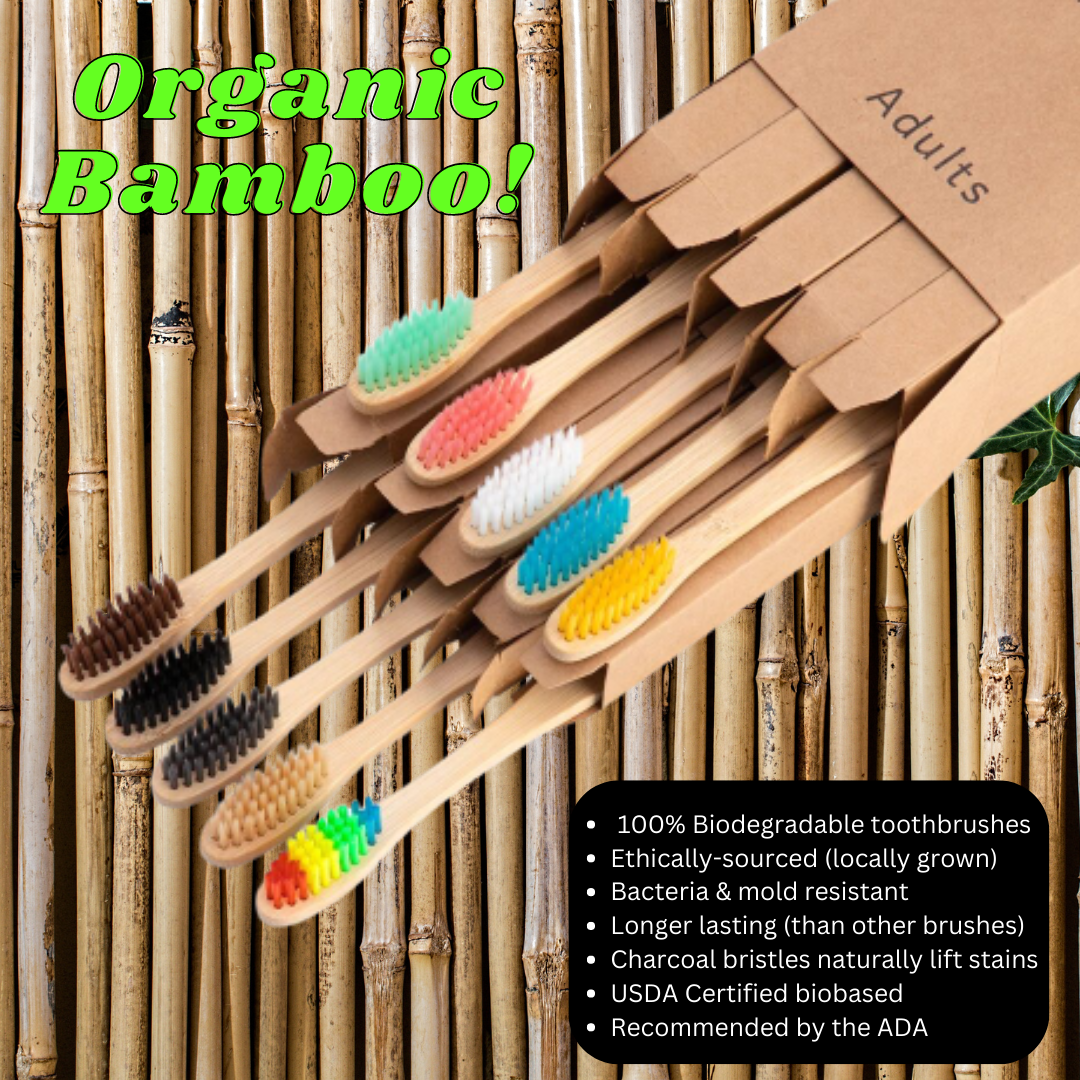 Bamboo Toothbrush - 10 Piece