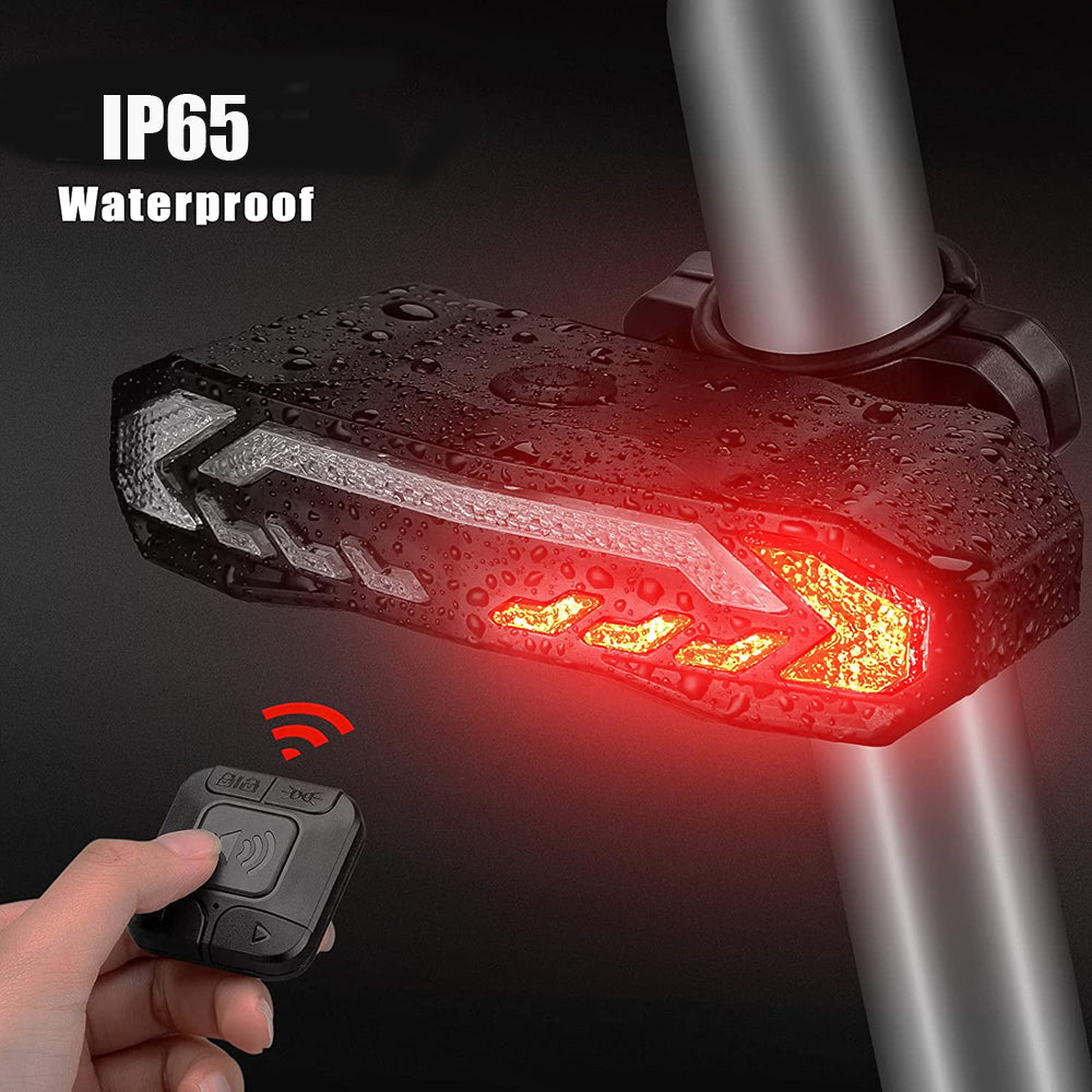 BikeSentry Tail Light Alarm