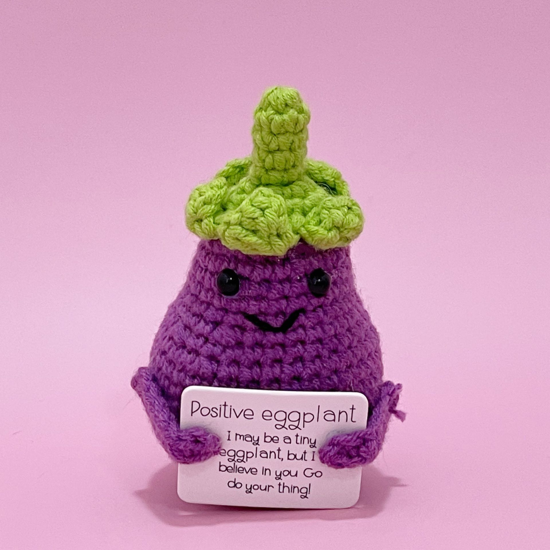 BLACK FRIDAY PRE-SALE - HANDMADE EMOTIONAL SUPPORT PICKLE GIFT