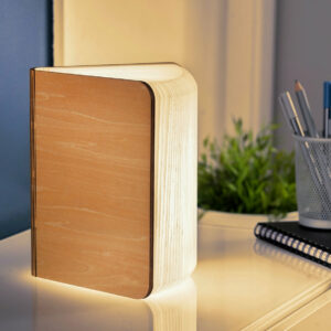 Book Lamp