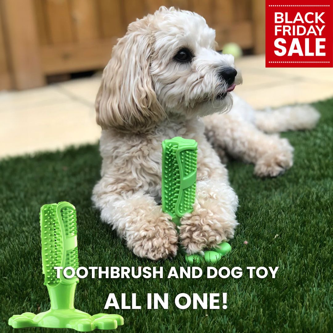 CalmingTeeth - Dog toy and toothbrush, all in one!