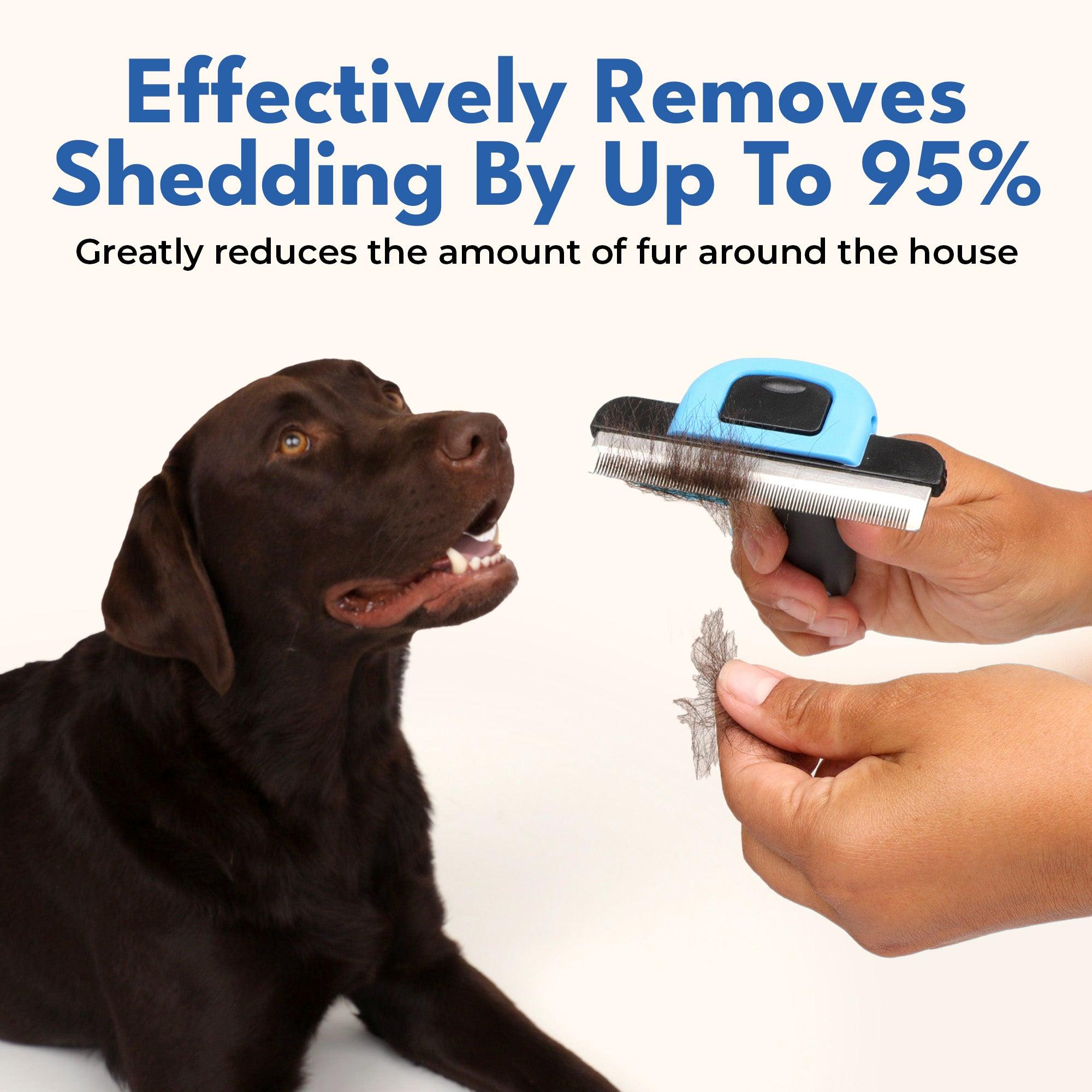 Deshedding Tool For Short Hair Cats & Dogs