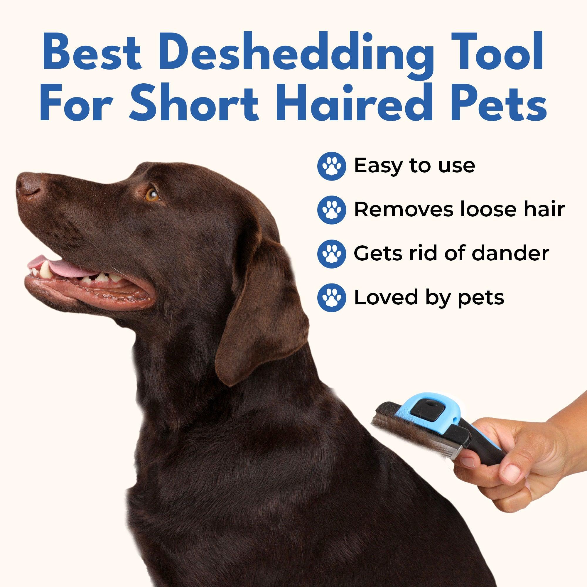 Deshedding Tool For Short Hair Cats & Dogs