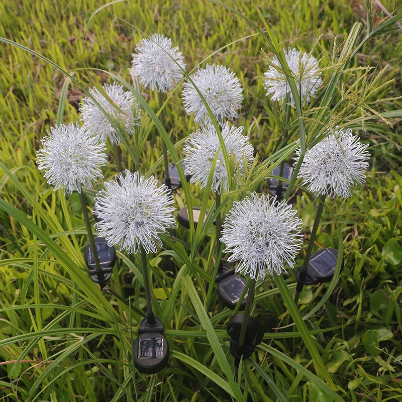 Last Day 50% OFF - IP65 Waterproof Solar Powered Dandelion Lights