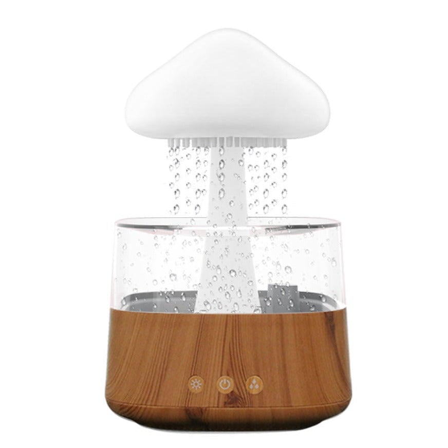 Rain Cloud Humidifer