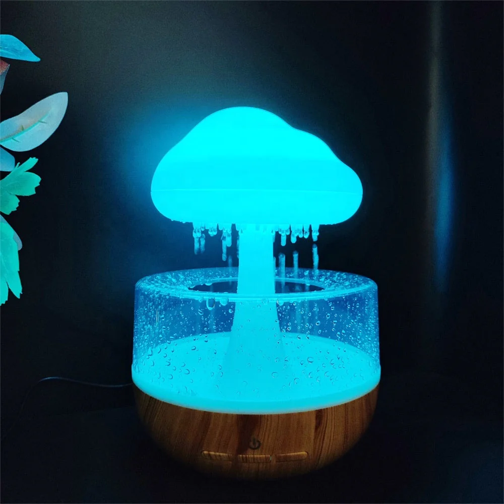 Rain Cloud Humidifer