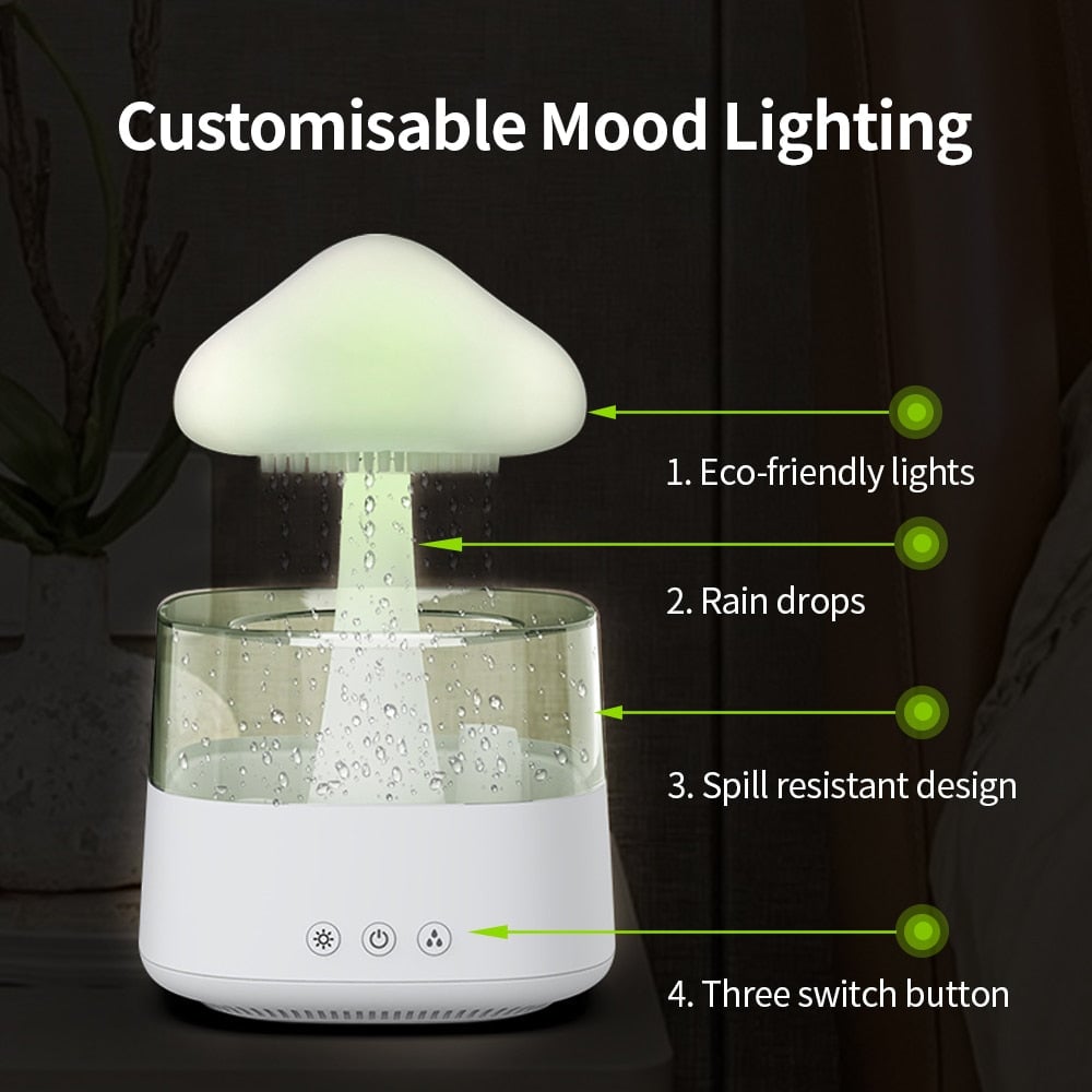 Rain Cloud Humidifer