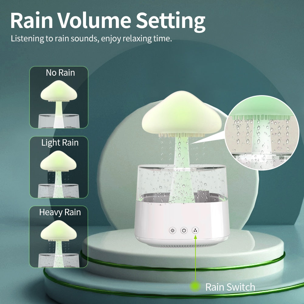 Rain Cloud Humidifer