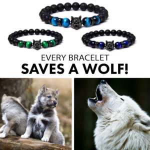 "Save a Wolf" Bracelet