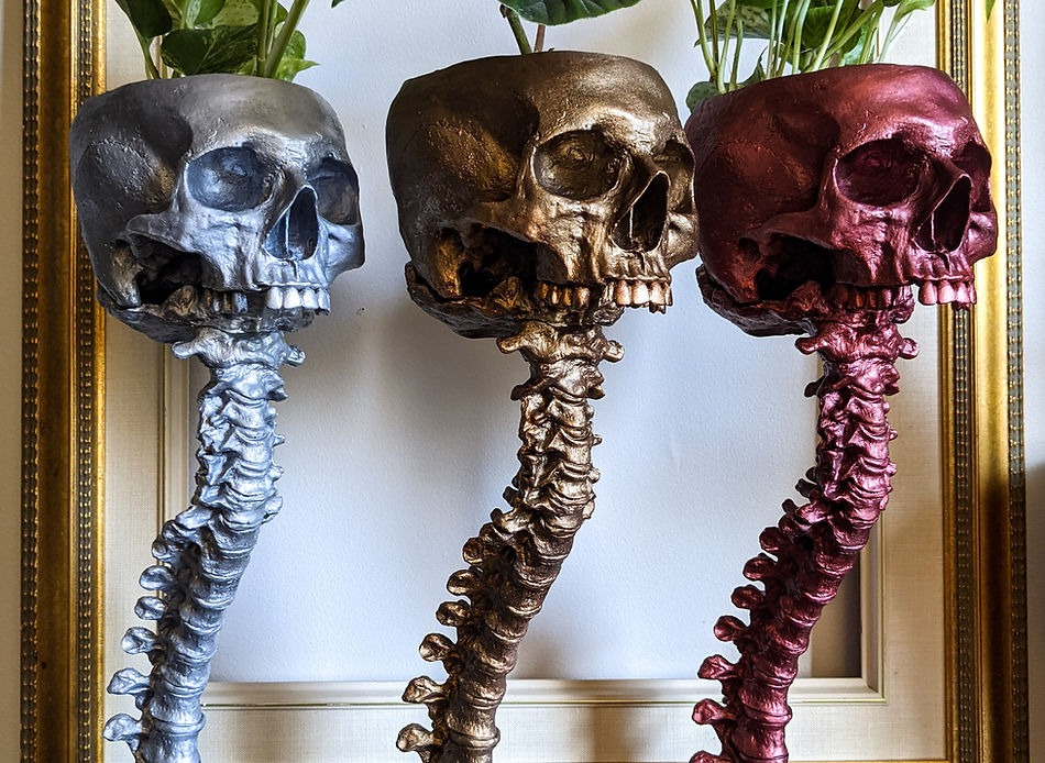 Skull Planter & Spine Stand Sets