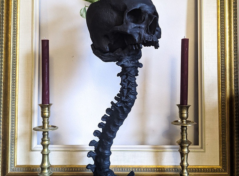 Skull Planter & Spine Stand Sets