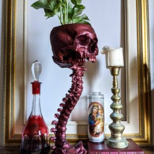 Skull Planter & Spine Stand Sets