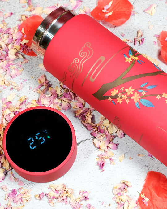 Smart Thermos with a Temperature Display