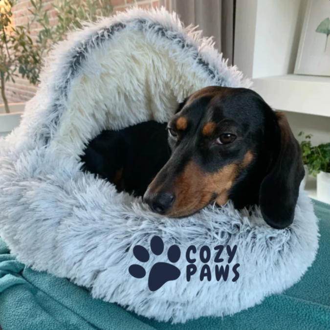 The CozyPaws