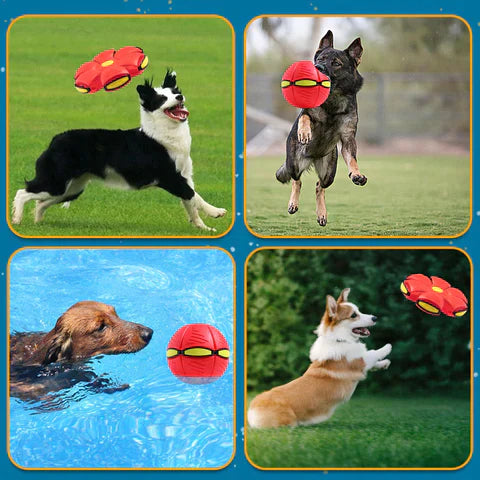 UfoBounce - Pet Toy Flying Saucer Ball