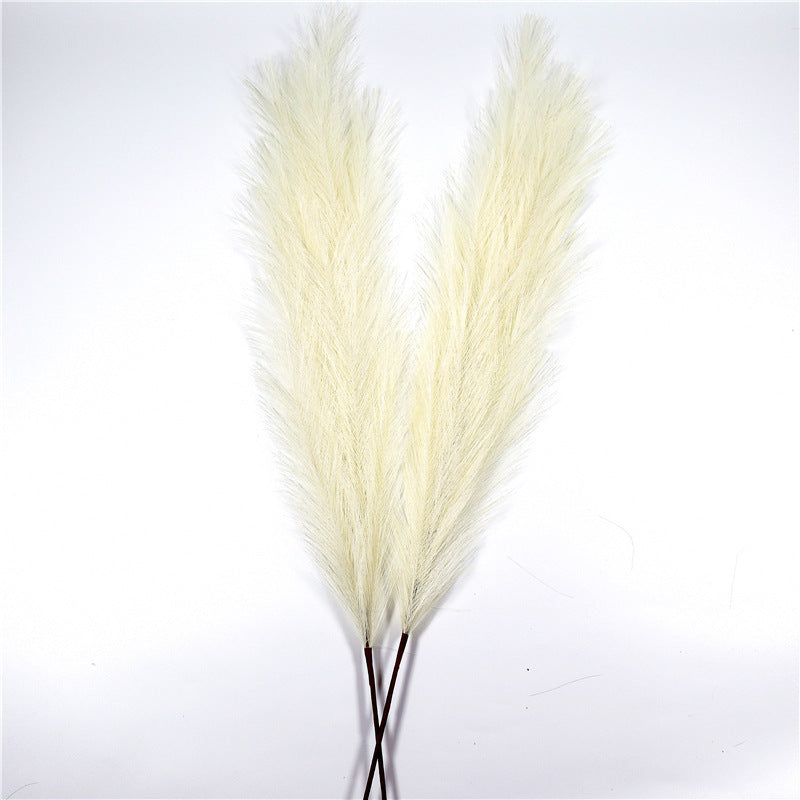 Window Decoration Long 110 Cm Pampas Natural Simulation Reed Grass Pampas