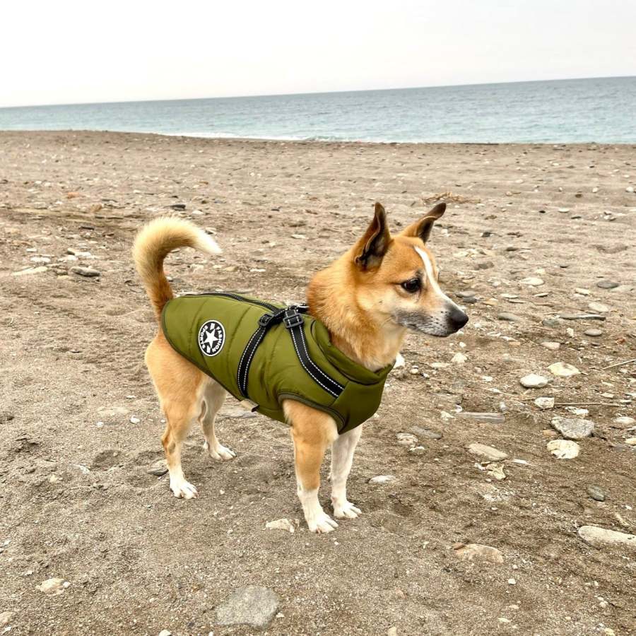 WonderJacket with Harness - Keep Warm & Mud-Free