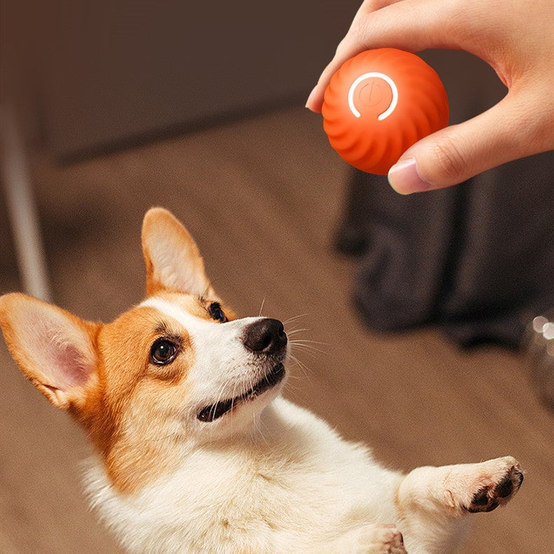 Zoopolia | Interactive Chew Ball