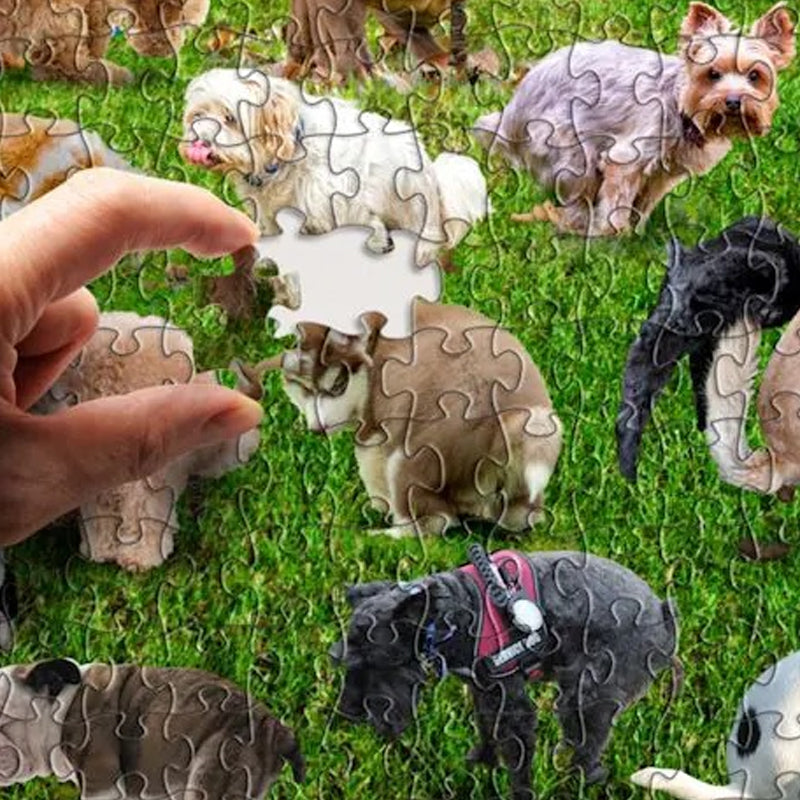 1000 Piece Puzzle, 101 Pooping Puppies, Dogs Pooping Puzzle