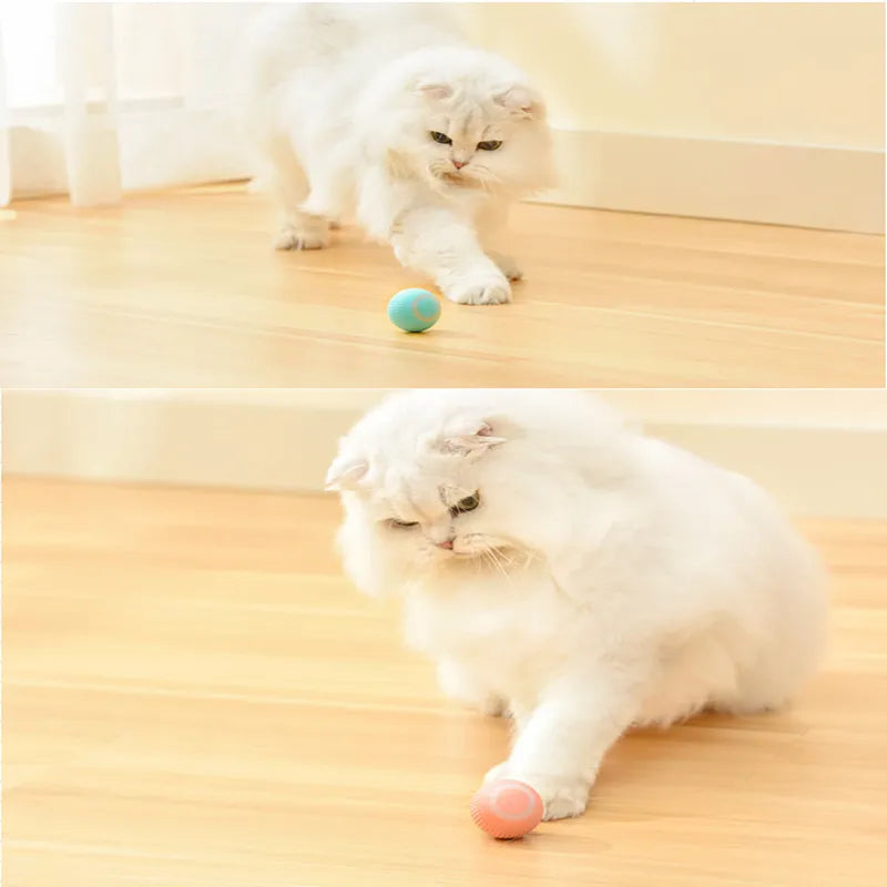 Anxiety Cat Ball