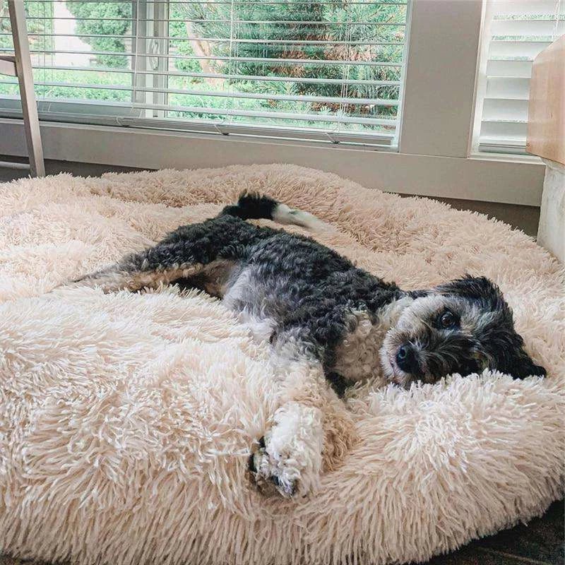 Anxiety Relieving Pet Bed