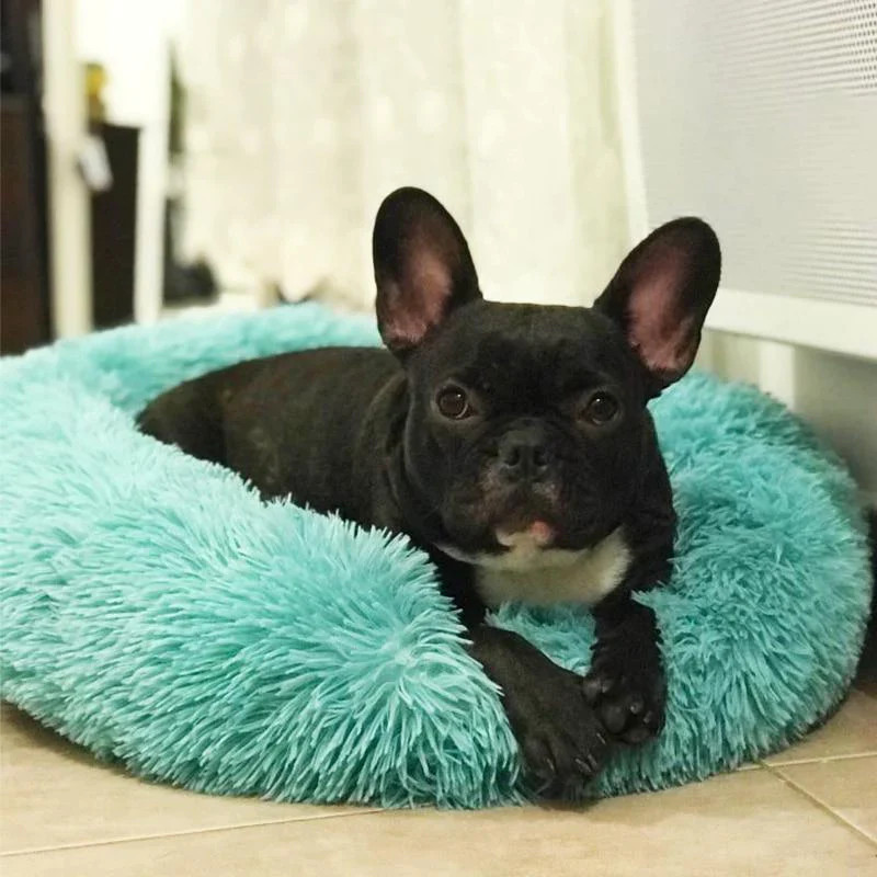 Anxiety Relieving Pet Bed