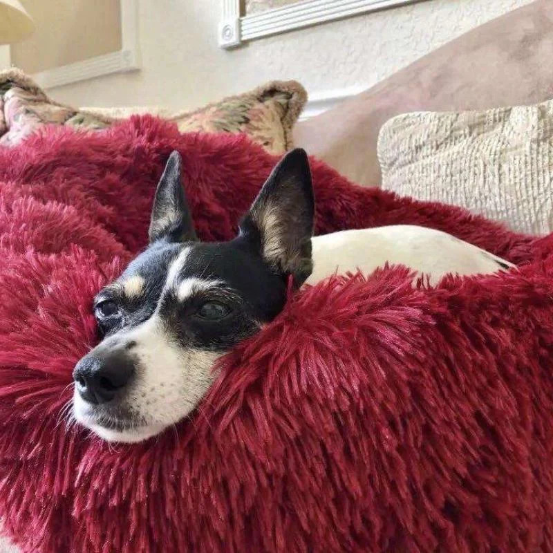 Anxiety Relieving Pet Bed