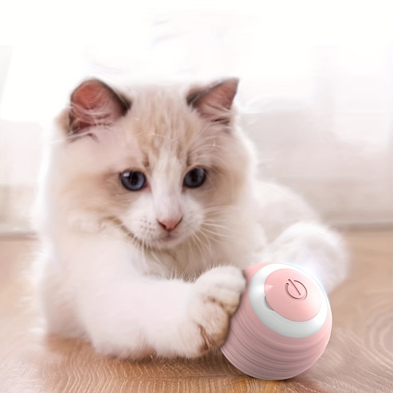 Cat Interactive Rolling Ball