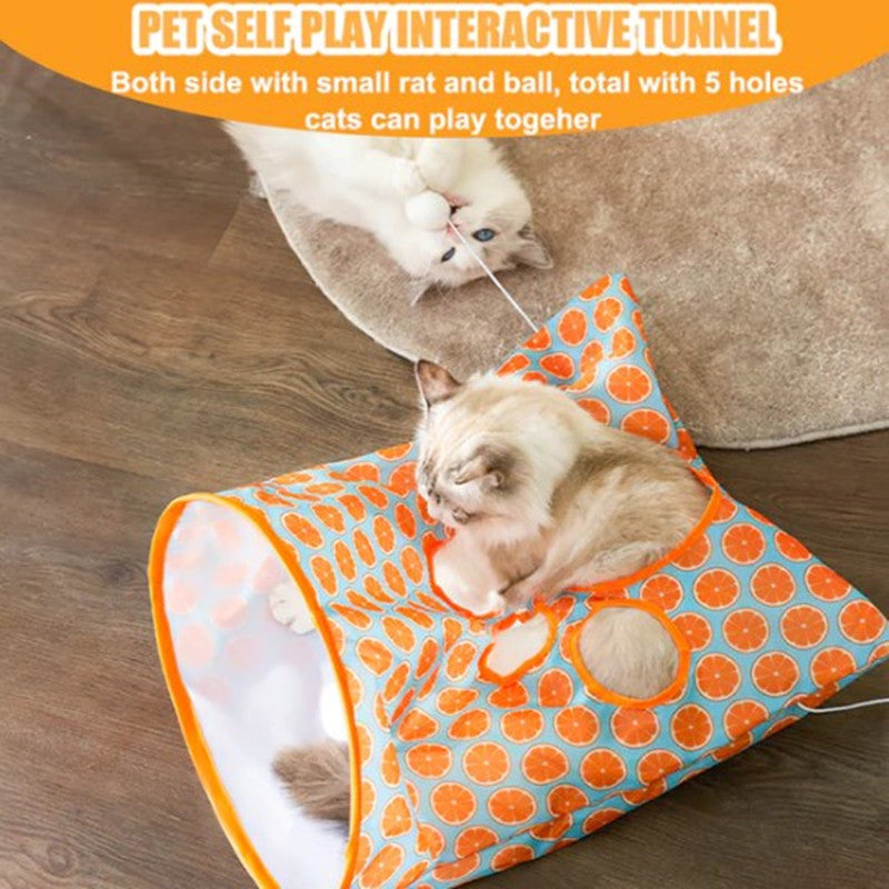 Cat-tastic Tunnel - Exclusive Offer!