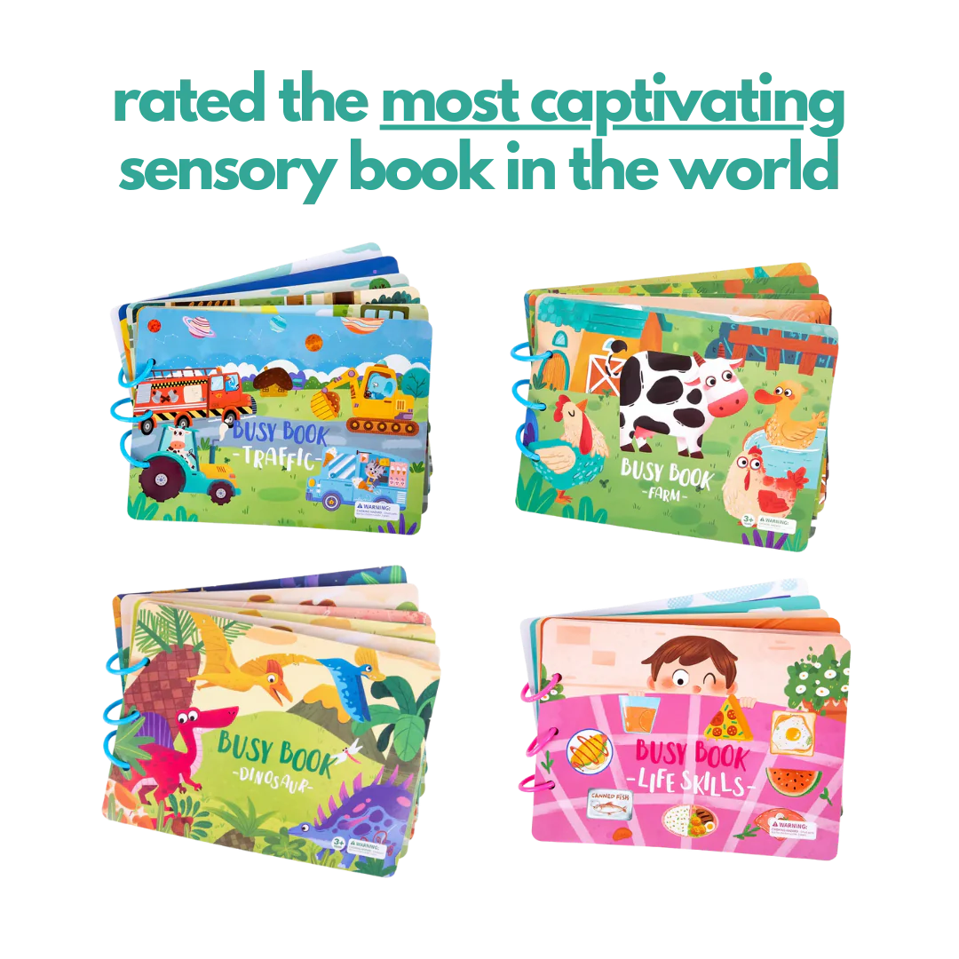 Christmas Sale - Sensory Adventure Book