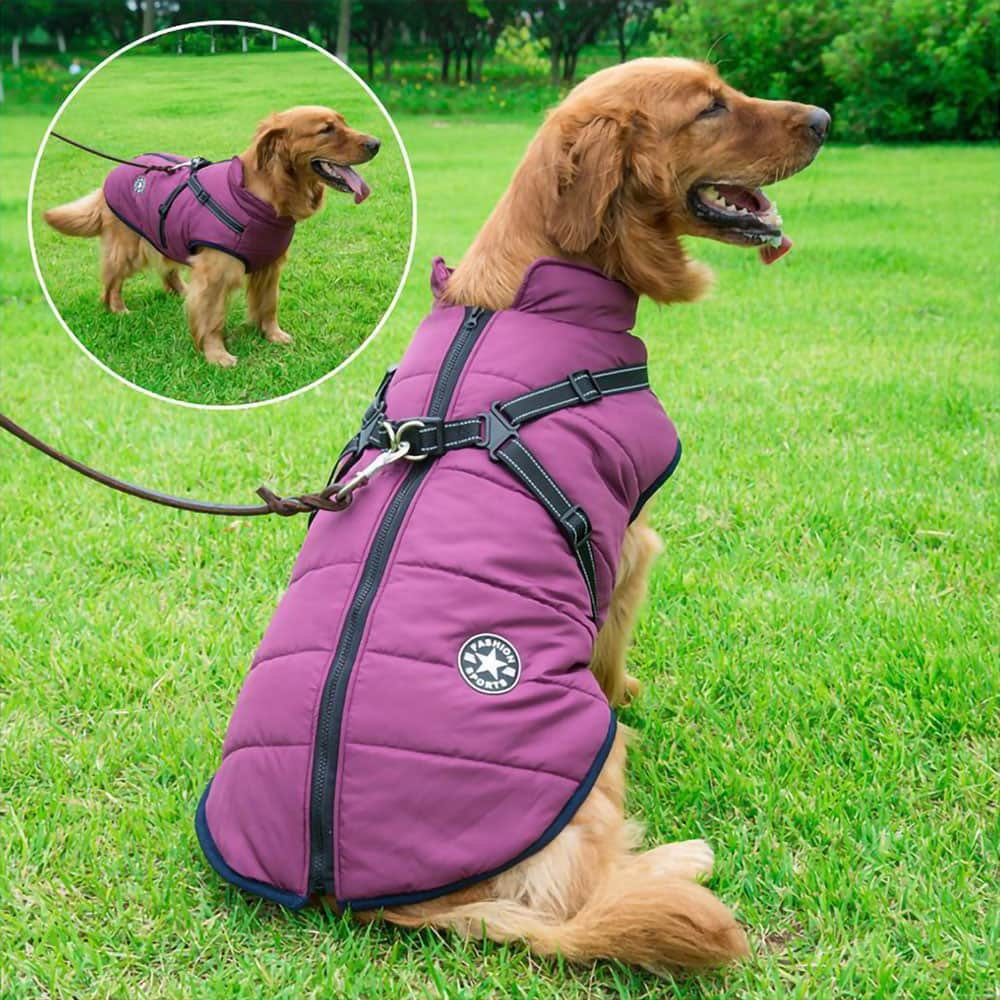 Dogegis Shop - Waterproof Winter Dog Jacket With Built-In Harness