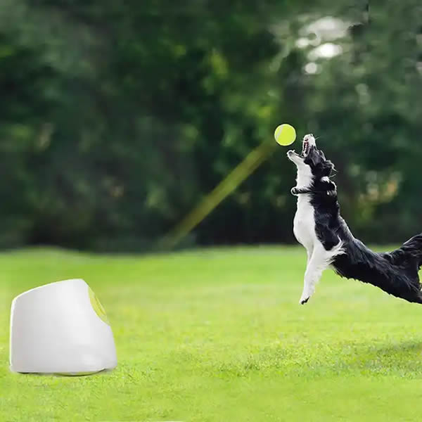 DogPro Automatic Ball Launcher