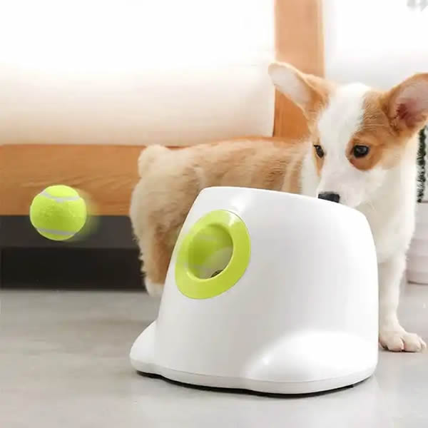 DogPro Automatic Ball Launcher