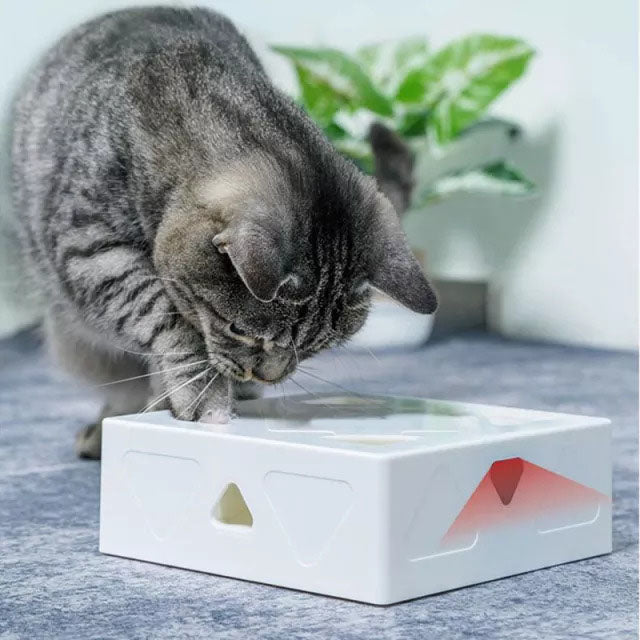 Fun Box - Electric Cat Toy