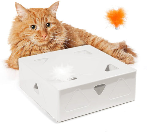 Fun Box - Electric Cat Toy