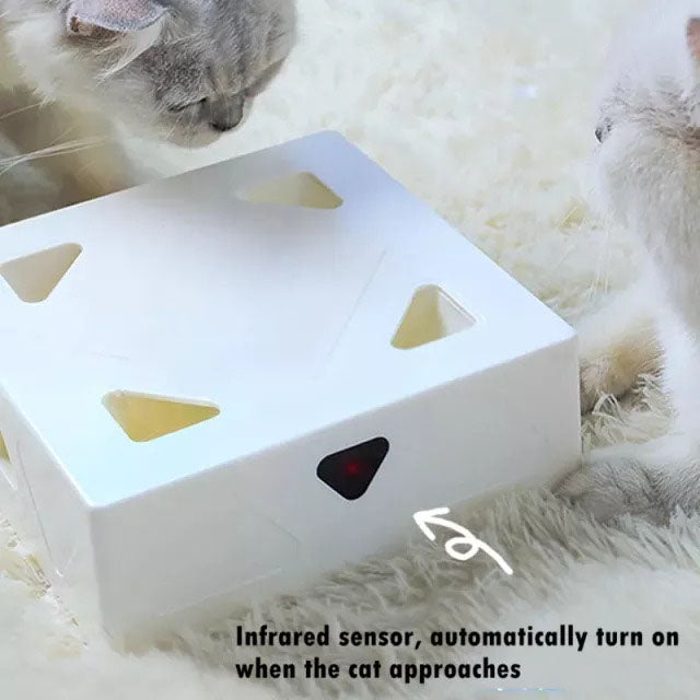 Fun Box - Electric Cat Toy