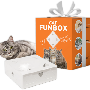 Fun Box - Electric Cat Toy