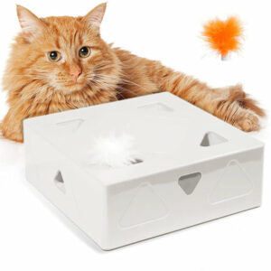 FunBox Interactive Cat Hunt Toy