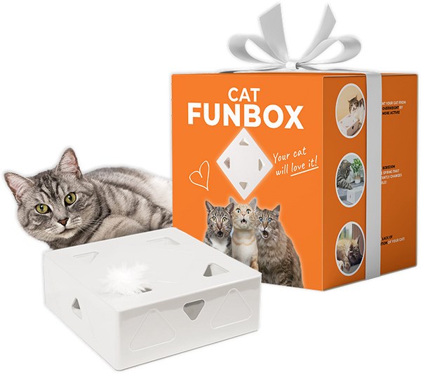 FunBox Interactive Cat Hunt Toy