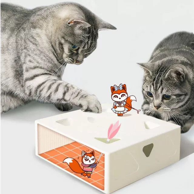 FunBox Interactive Cat Hunt Toy