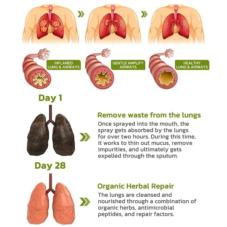 BreathDetox Herbal Lung Cleansing Spray