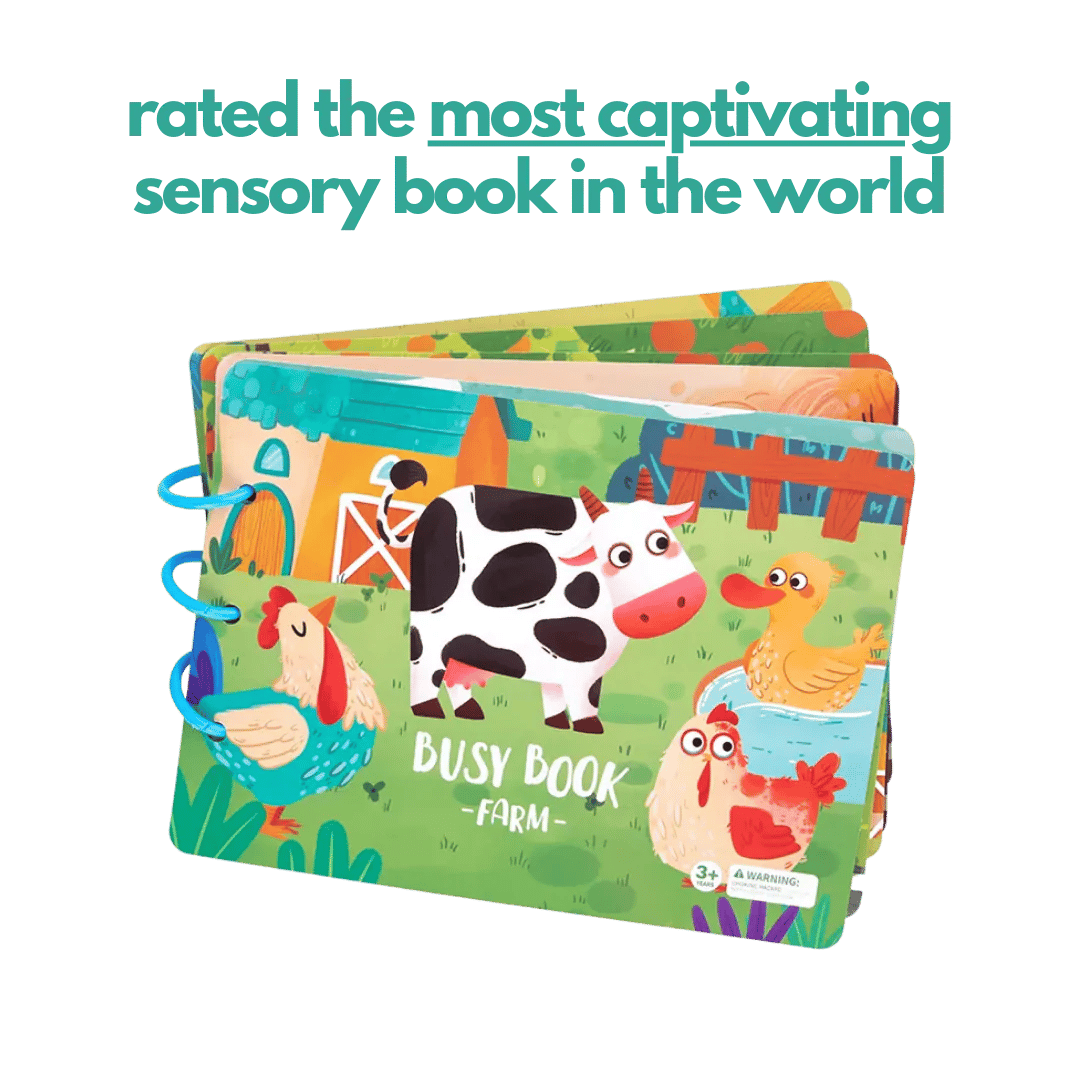 HOT SALE - Sensory Book