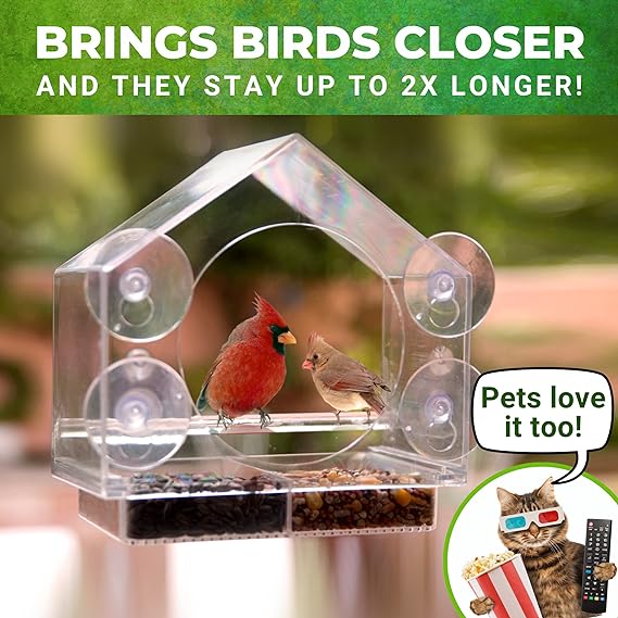 HOT SALE 49% OFF - Nature Window Bird Feeders