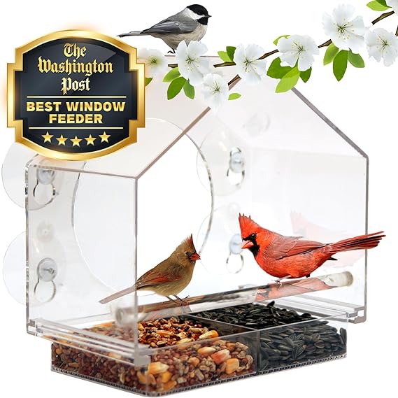 HOT SALE 49% OFF - Nature Window Bird Feeders