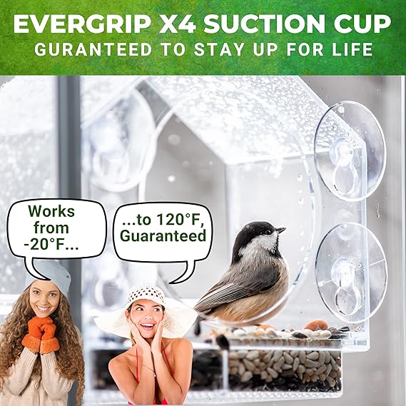 HOT SALE 49% OFF - Nature Window Bird Feeders