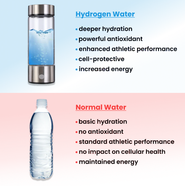 Lorivu | hydrogen water bottle