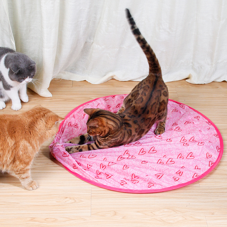 Last Sale - 2 In 1 Simulated Interactive Hunting Cat Toy